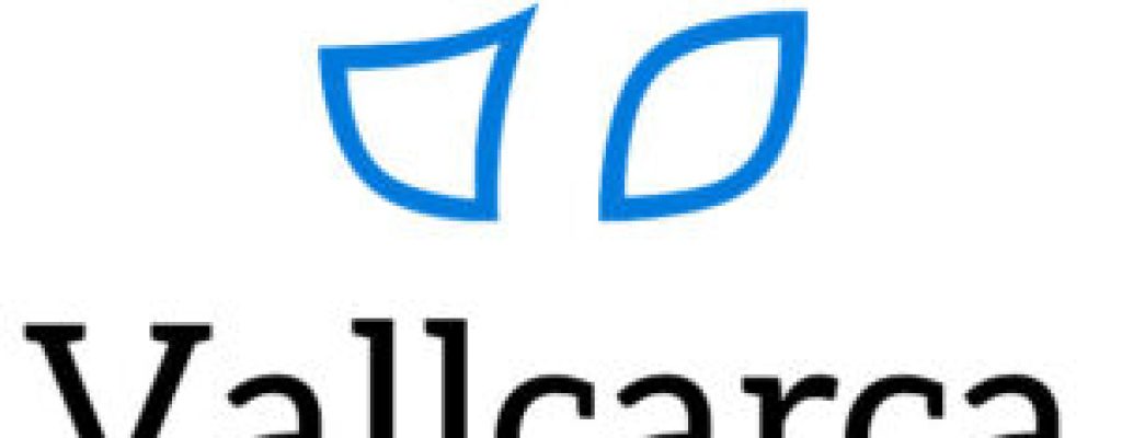 MARCA-UNITAT-DOCENT-Vertical-Positiu-300x262